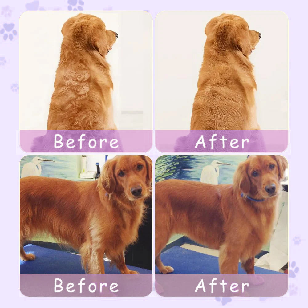 🔥Last Day Promotion 49% OFF🔥 Spray defur comb with No-Rinse shampoo for Pet Bathing